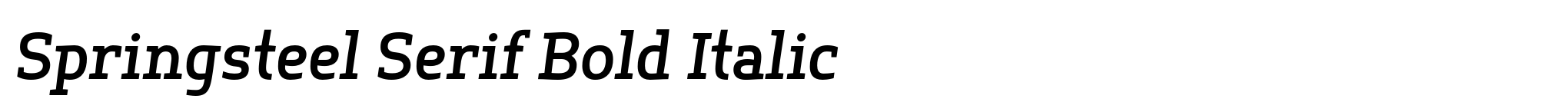 Springsteel Serif Bold Italic image